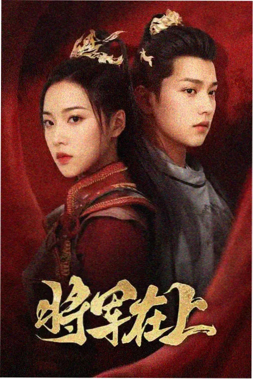 剧集排播观察
